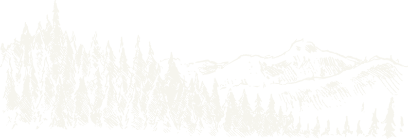 Παγκύπρια Ένωση Δασολόγων (ΠΕΔ) | CAPF - Home, Hand drawn forest background layer